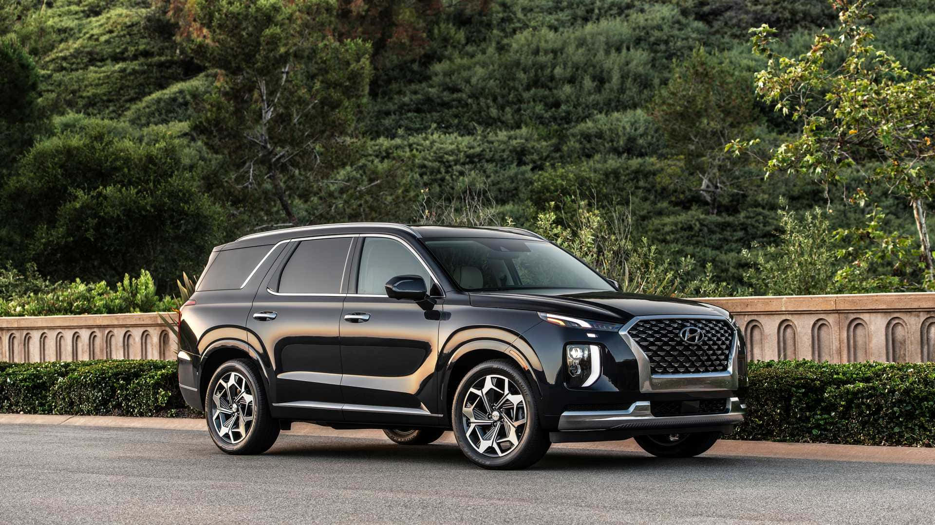 Hyundai Palisade, sleek black SUV, paved road, Full HD Desktop Wallpaper