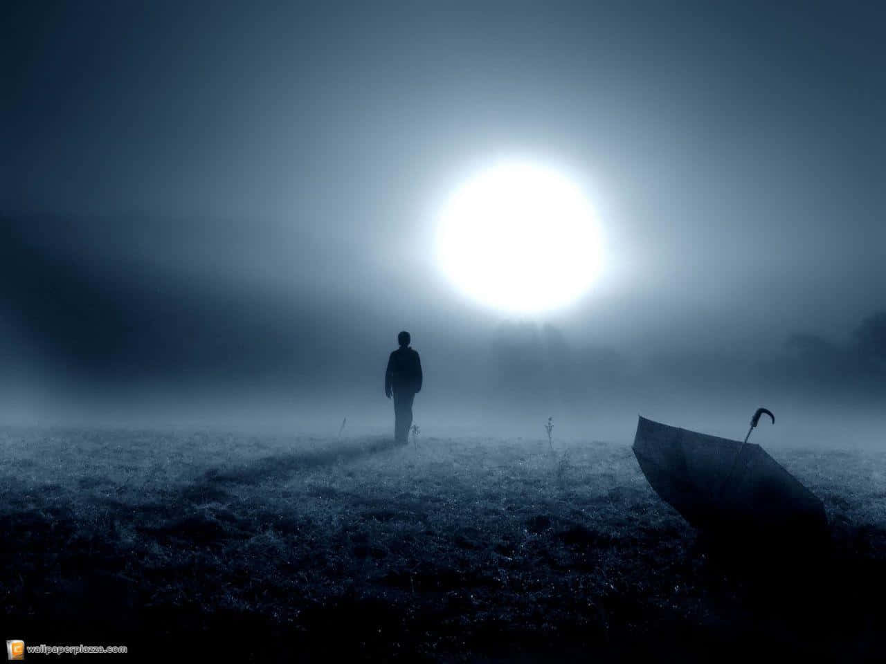 I Am Alone, foggy field, blindingly bright moon, HD Desktop Wallpaper
