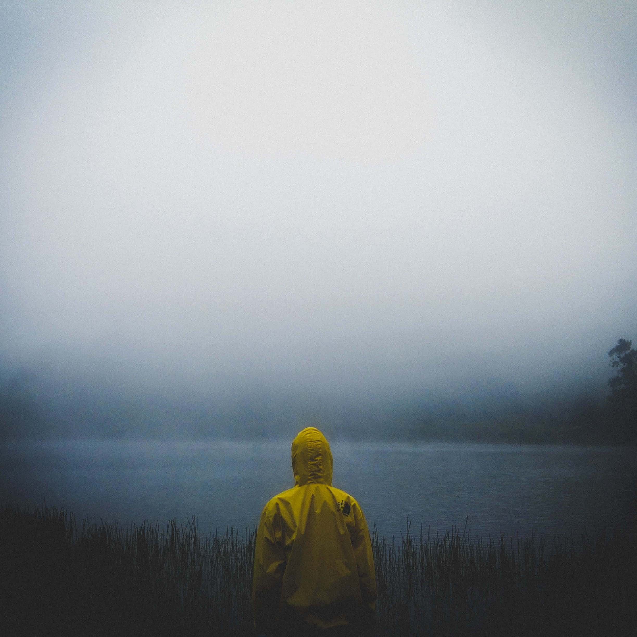 I Am Alone, yellow jacket, misty lake, Full HD Desktop Wallpaper