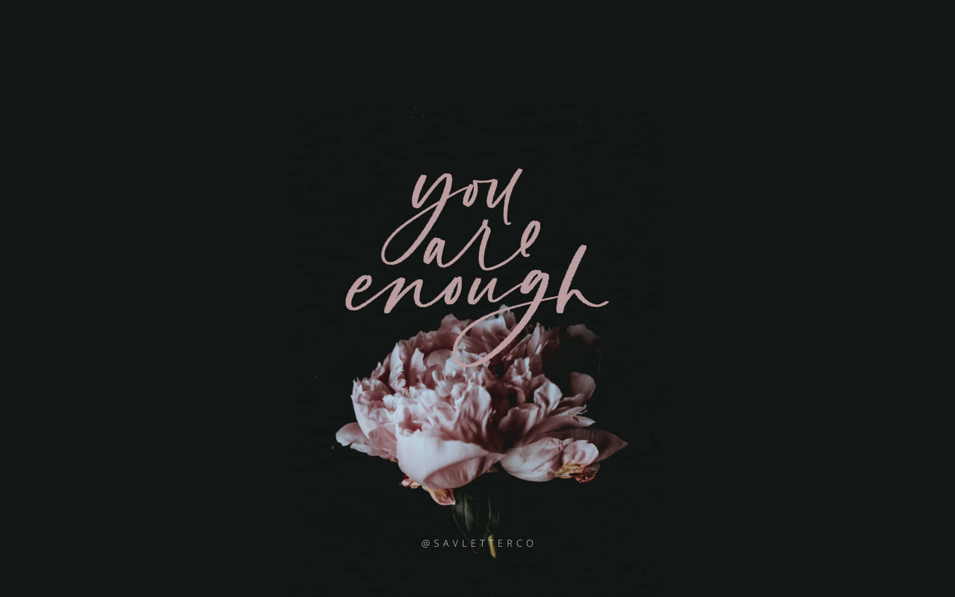soft pink peony, black background, elegant cursive text, HD Desktop Wallpaper