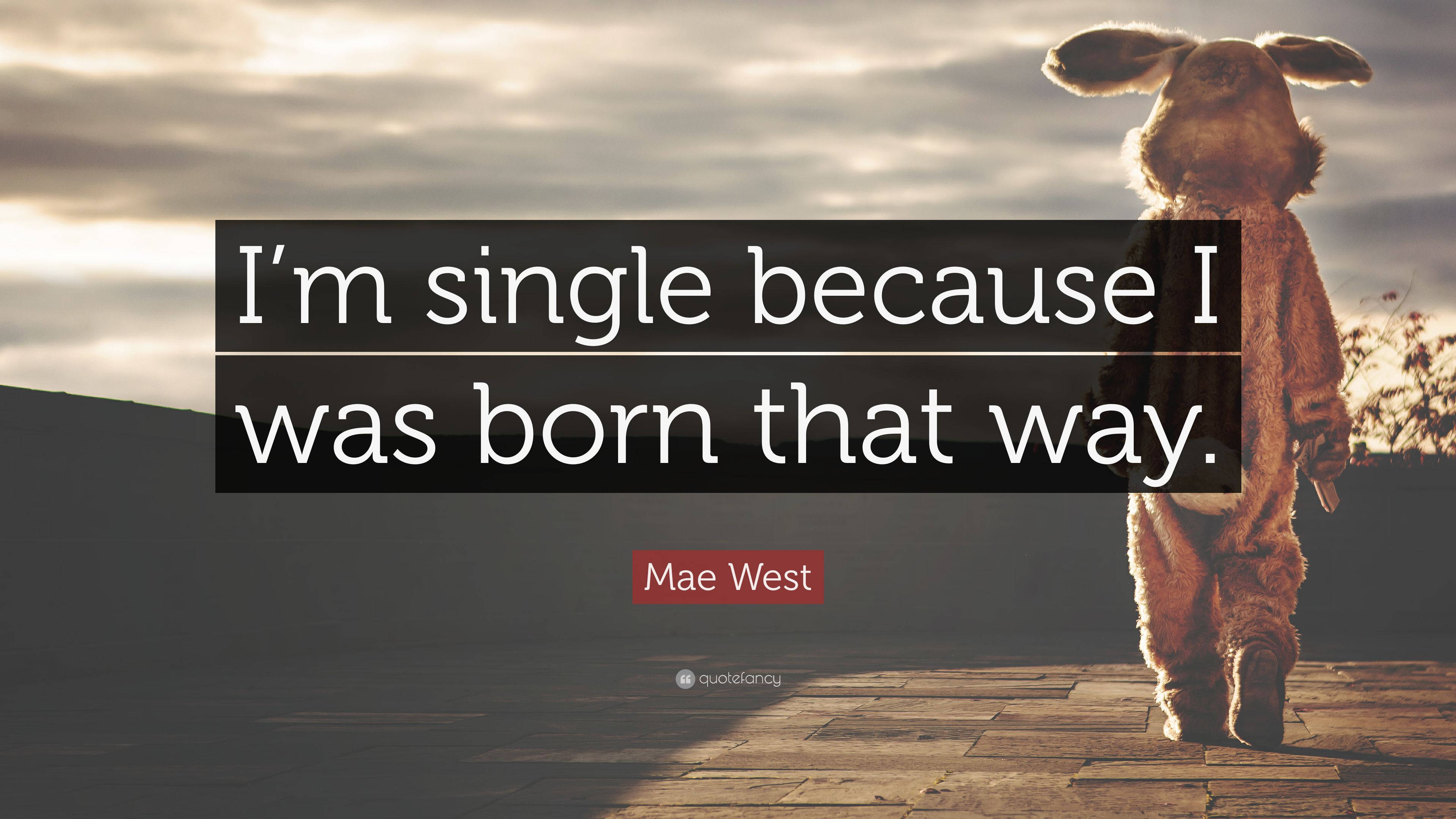 I Am Single By Birth, rabbit costume, paved path, 4K Desktop Wallpaper