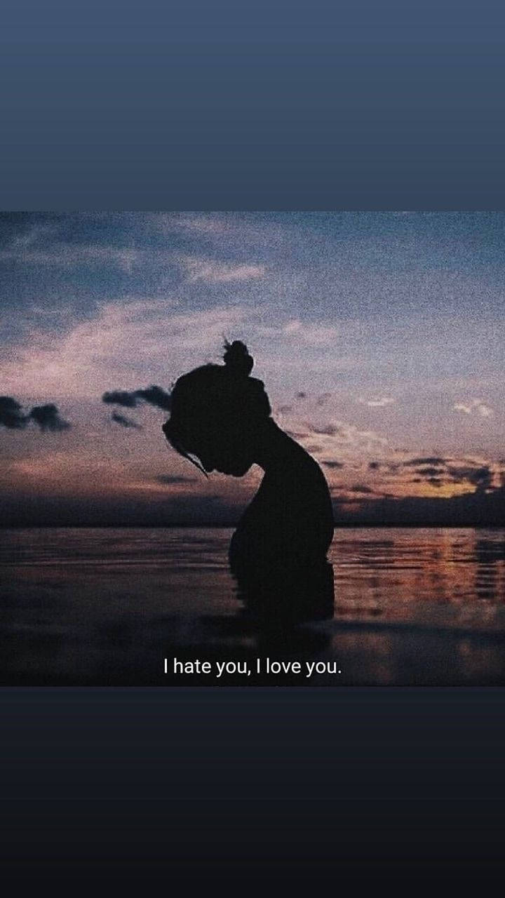 I Hate You, silhouette, twilight, HD Phone Wallpaper
