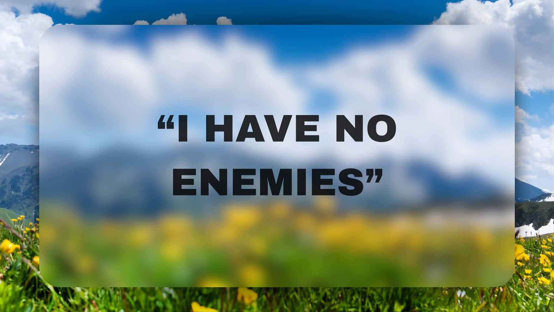 I HAVE NO ENEMIES, vibrant yellow flowers, green grass, Full HD Desktop Wallpaper