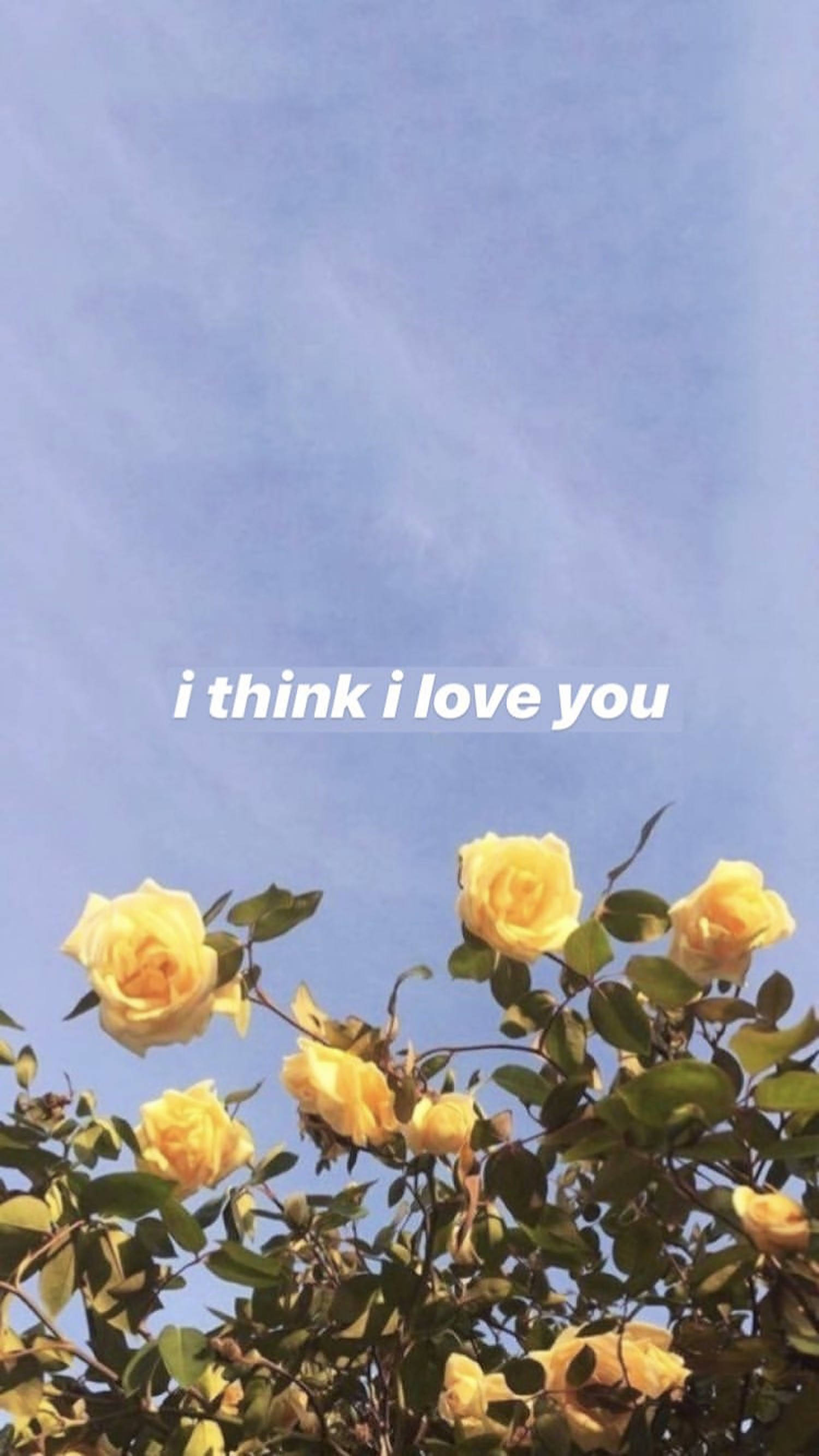 yellow roses, clear blue sky, soft white text, 2K Phone Wallpaper