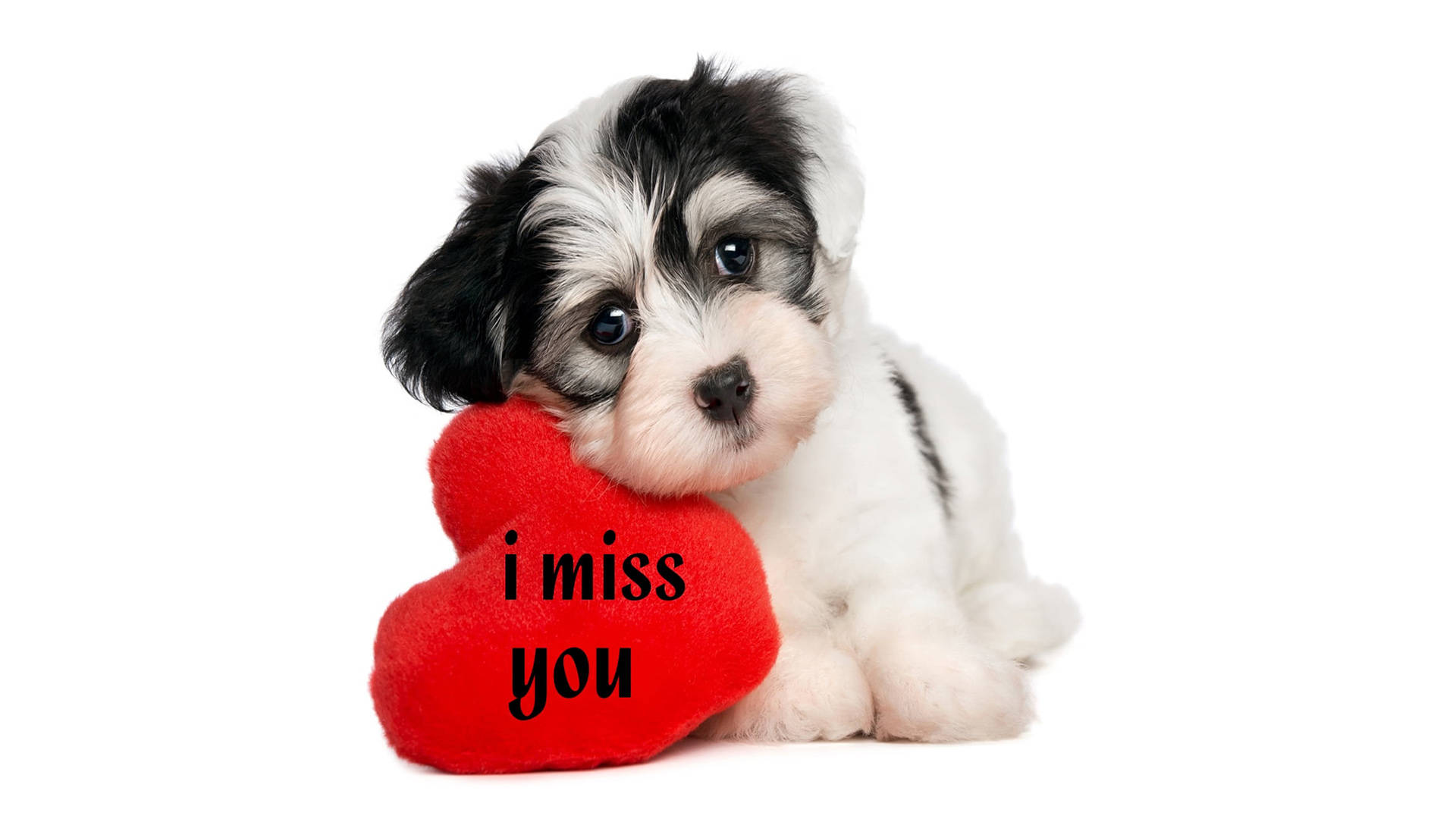 dog, puppy, red heart plush, Full HD Desktop Wallpaper
