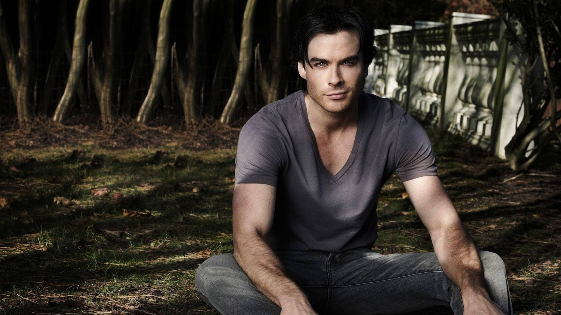 Ian Somerhalder, gray v-neck shirt, dim forest, Full HD Desktop Wallpaper