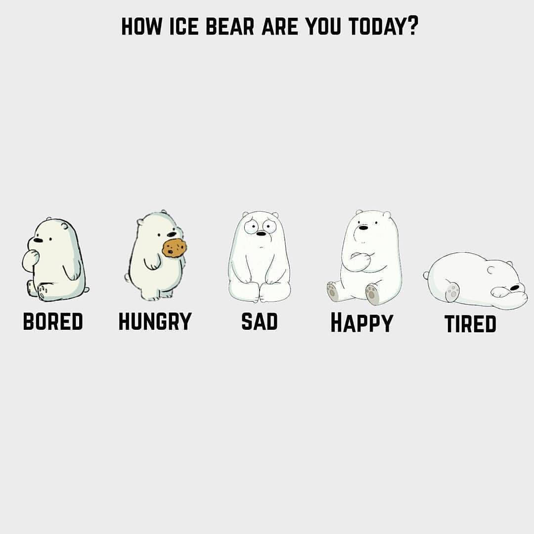 Ice Bear, cartoon, bored, SD Desktop Wallpaper