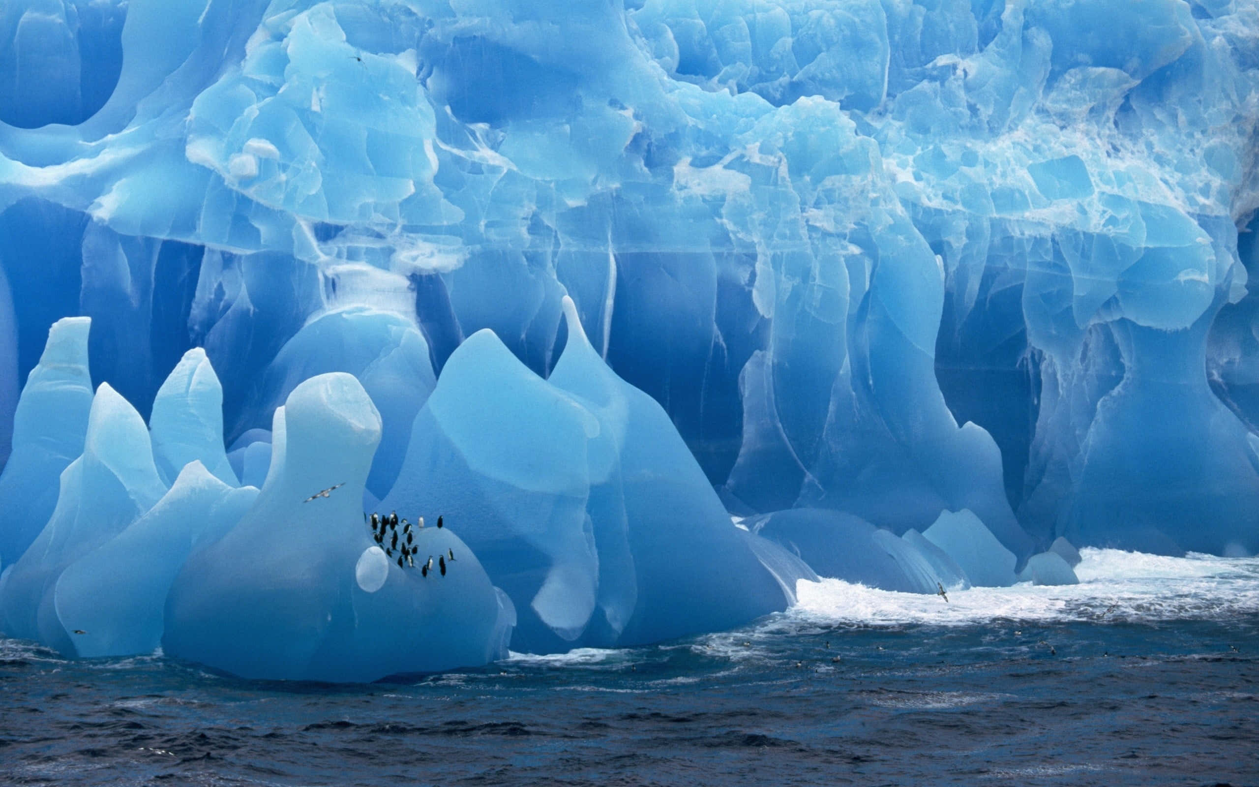 Ice Blue, blue iceberg, penguins, 2K Desktop Wallpaper