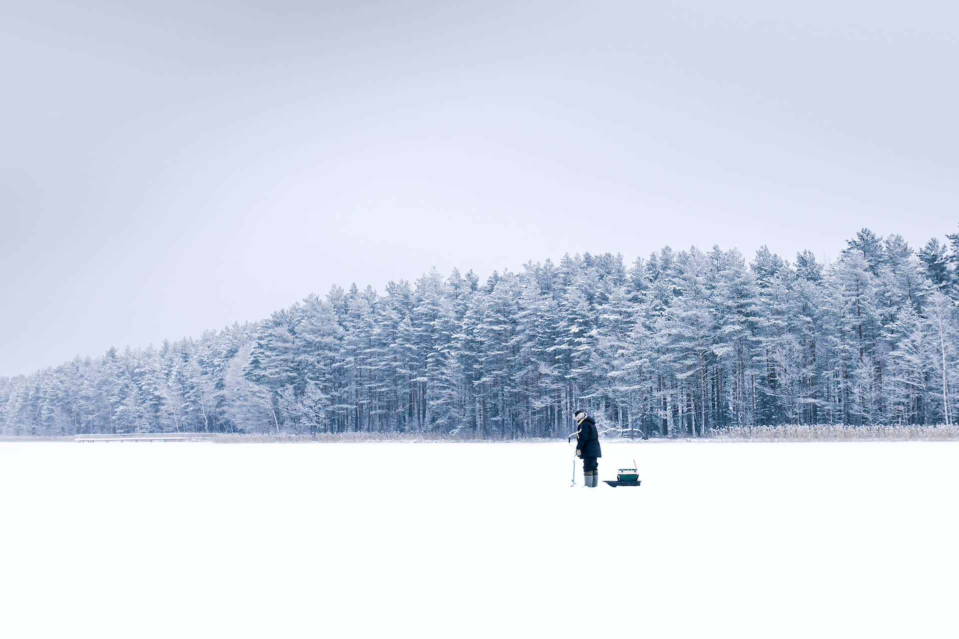 ice fishing, frozen lake, snow-covered pine trees, Full HD Desktop Wallpaper