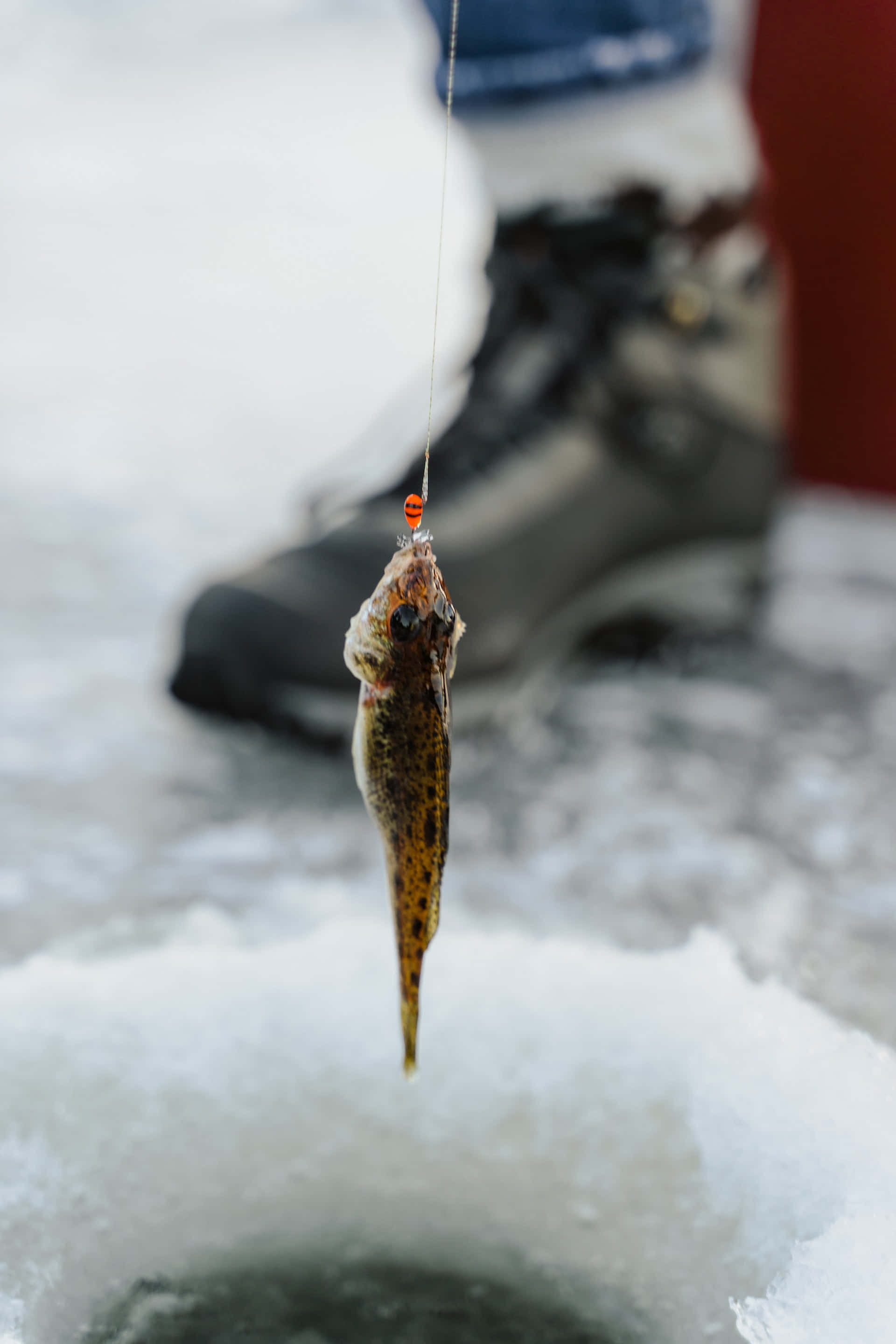 Ice Fishing, fishing line, frozen ice hole, 2K Phone Wallpaper