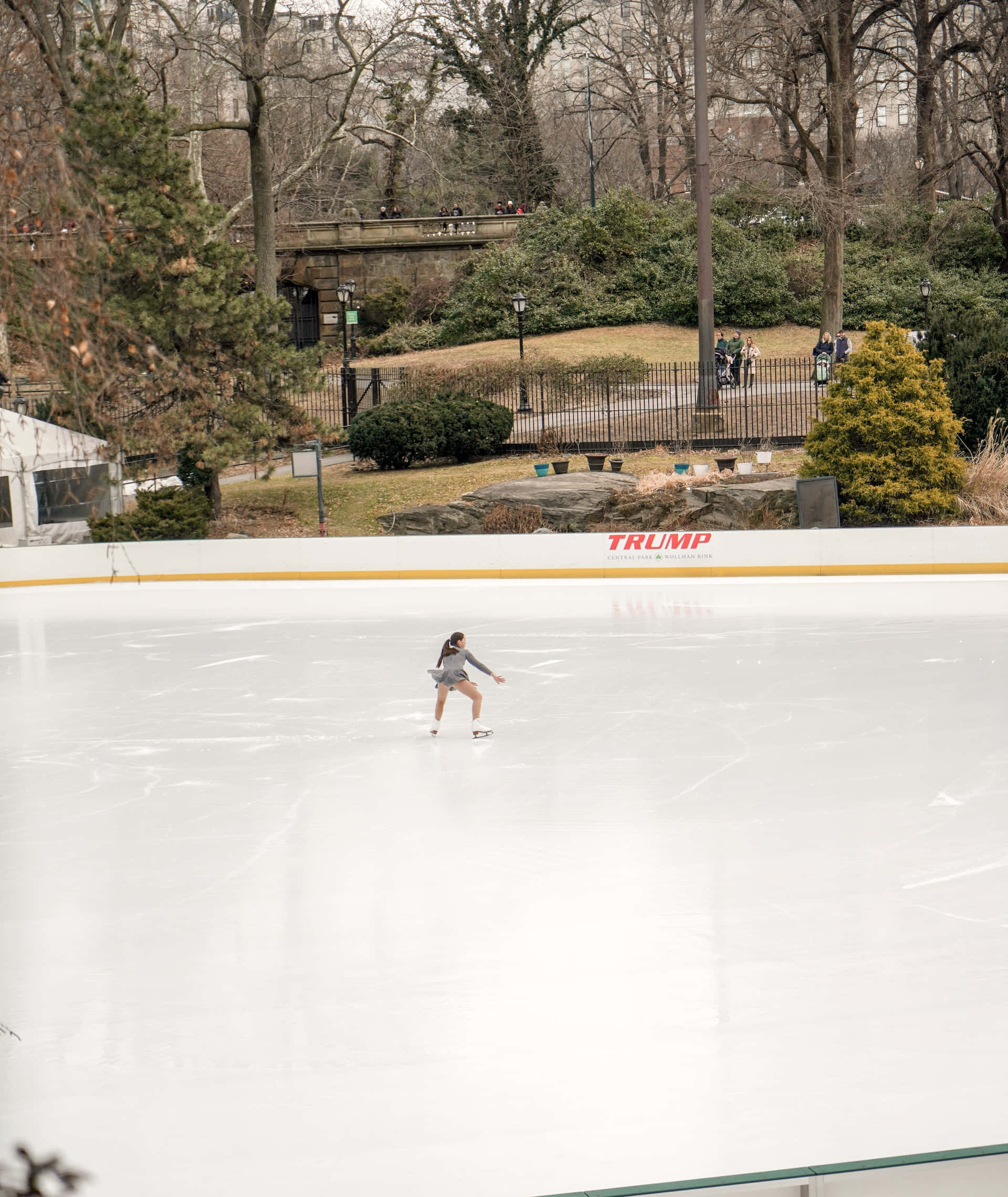 ice rink, winter, bare trees, Full HD Phone Wallpaper