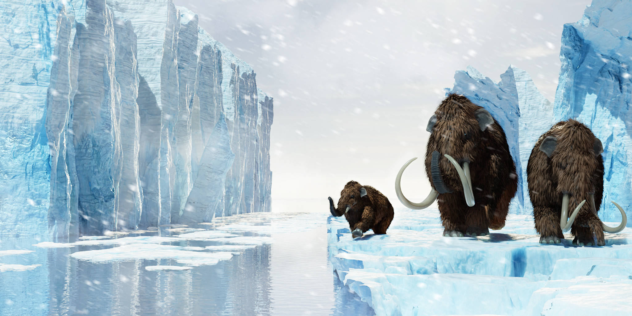 woolly mammoths, snowy ice floe, towering blue ice cliffs, Full HD Desktop Wallpaper