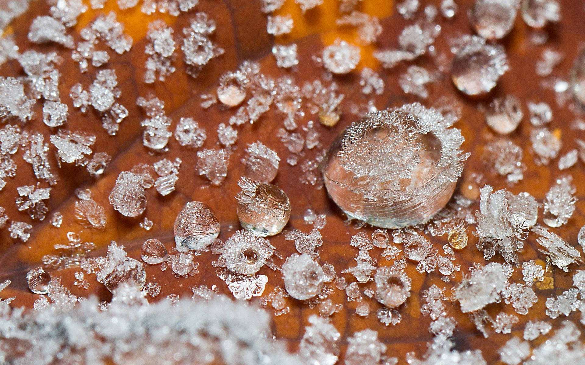 ice, frost crystals, dewdrops, Full HD Desktop Wallpaper
