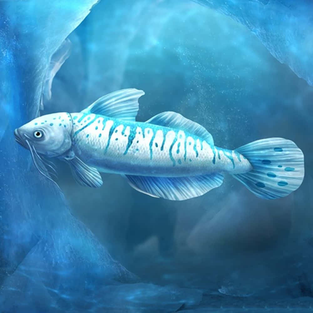 icefish, icy underwater cavern, luminous blue fish, SD Desktop Wallpaper