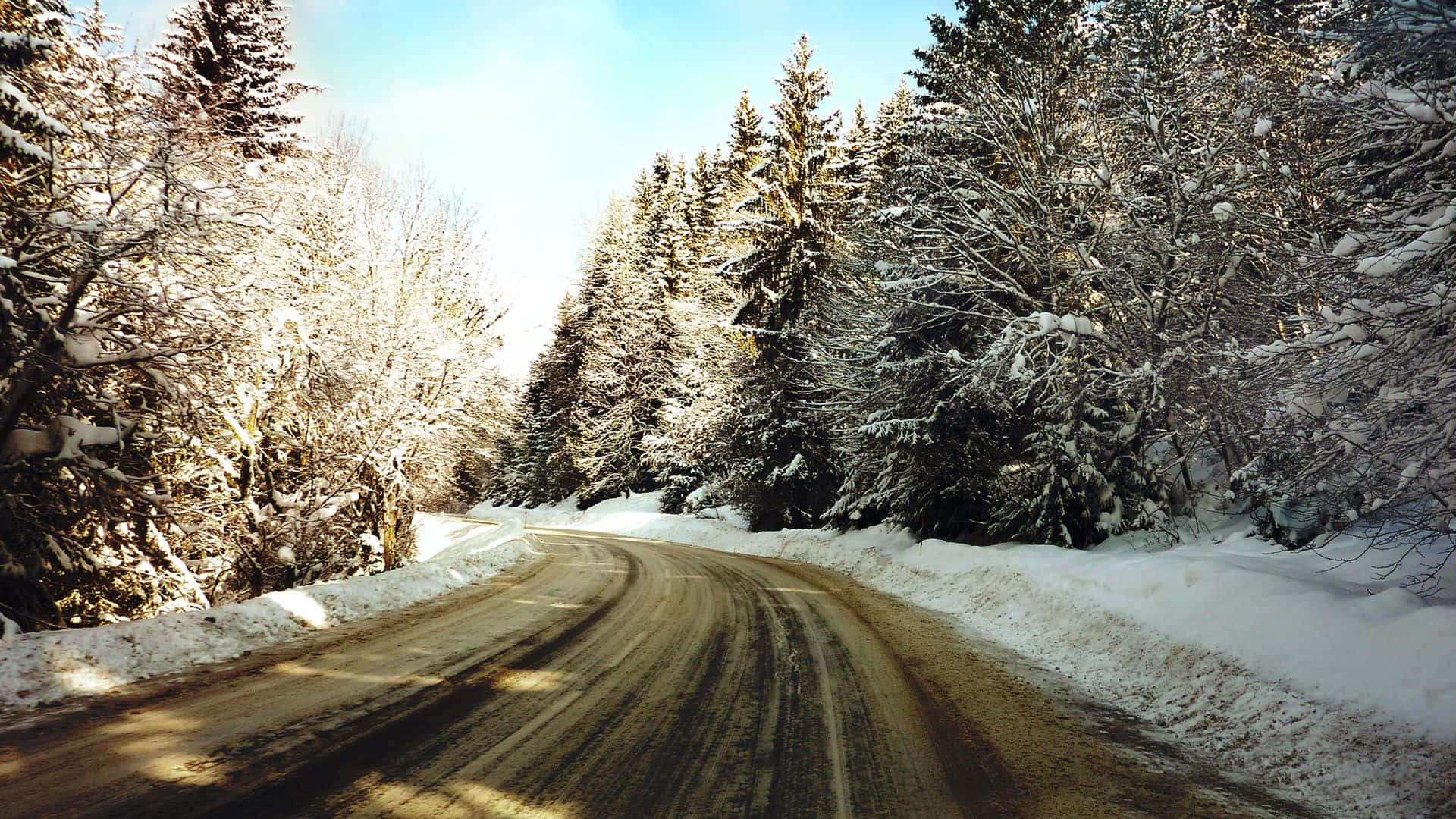 Icy Road, snowy road, snow-covered evergreens, Full HD Desktop Wallpaper