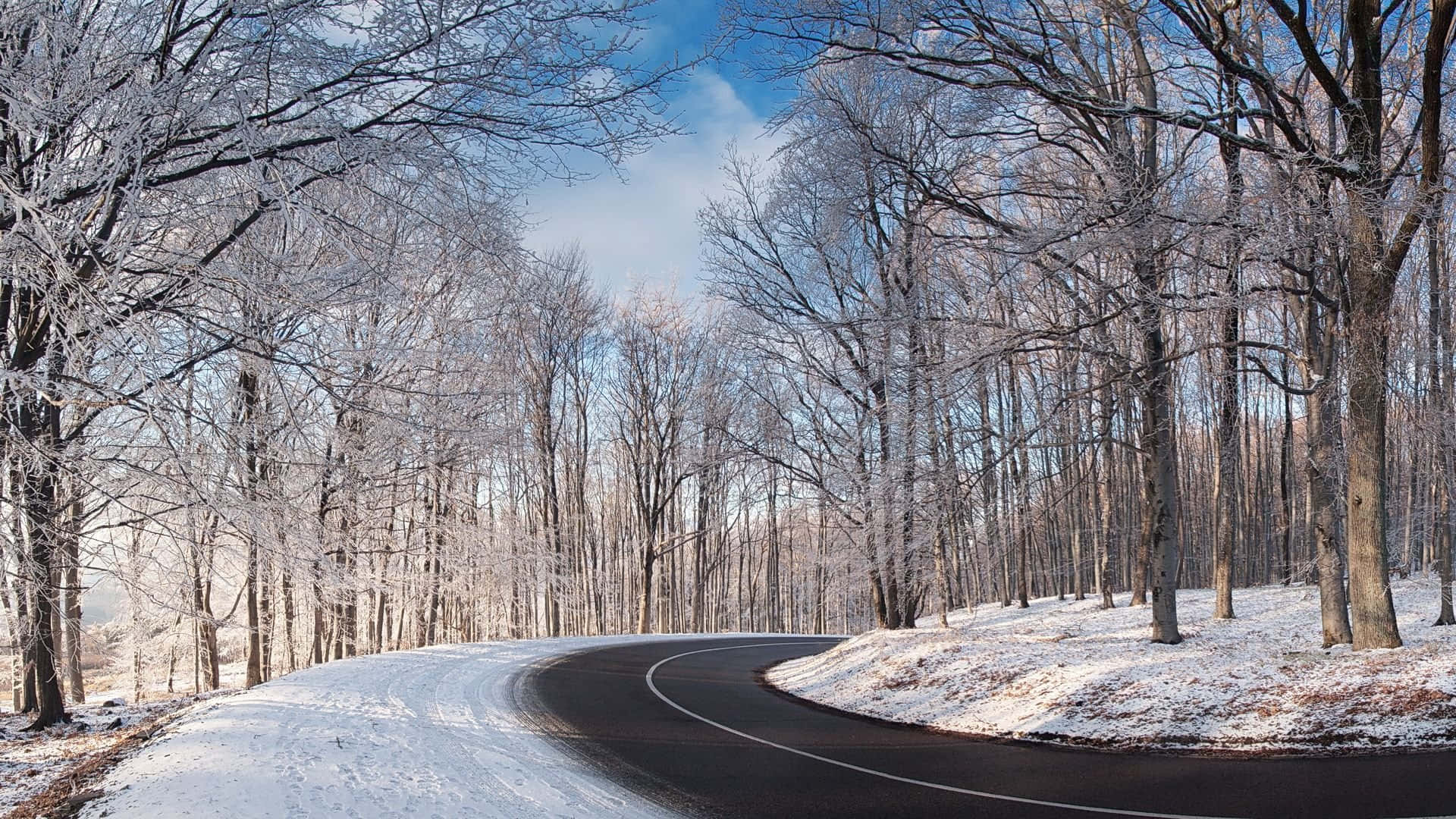 icy road, winding asphalt road, snowy forest, Full HD Desktop Wallpaper