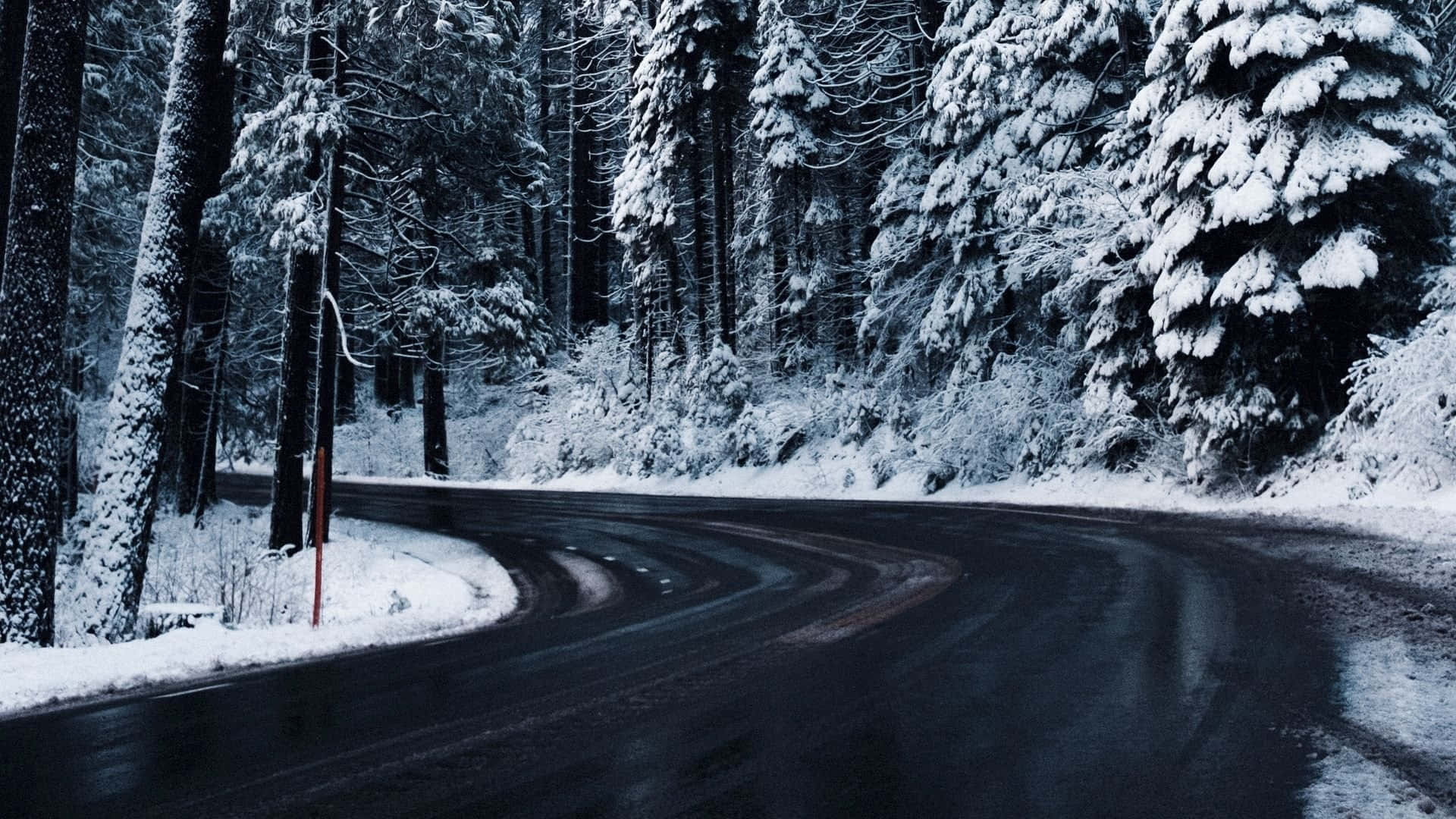 Icy Road, winding road, dense snowy forest, Full HD Desktop Wallpaper