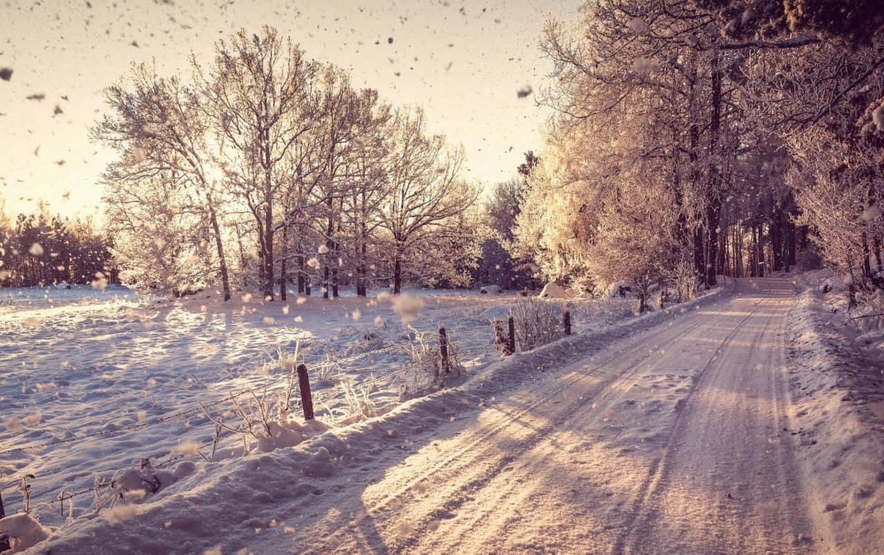Icy Road, rural road, frosty forest, HD Desktop Wallpaper