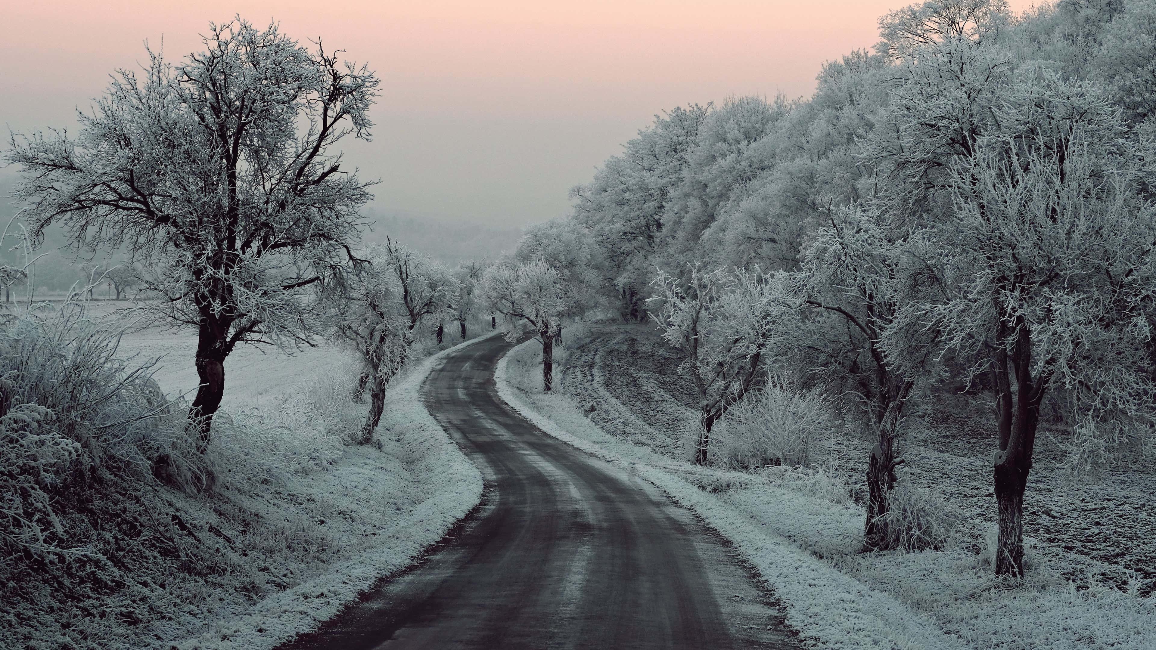 Icy Road, winding road, frost-covered forest, 4K Desktop Wallpaper
