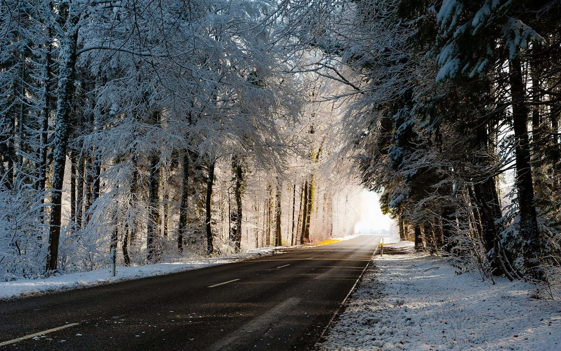 icy road, snowy forest road, golden sunrise light, Full HD Desktop Wallpaper