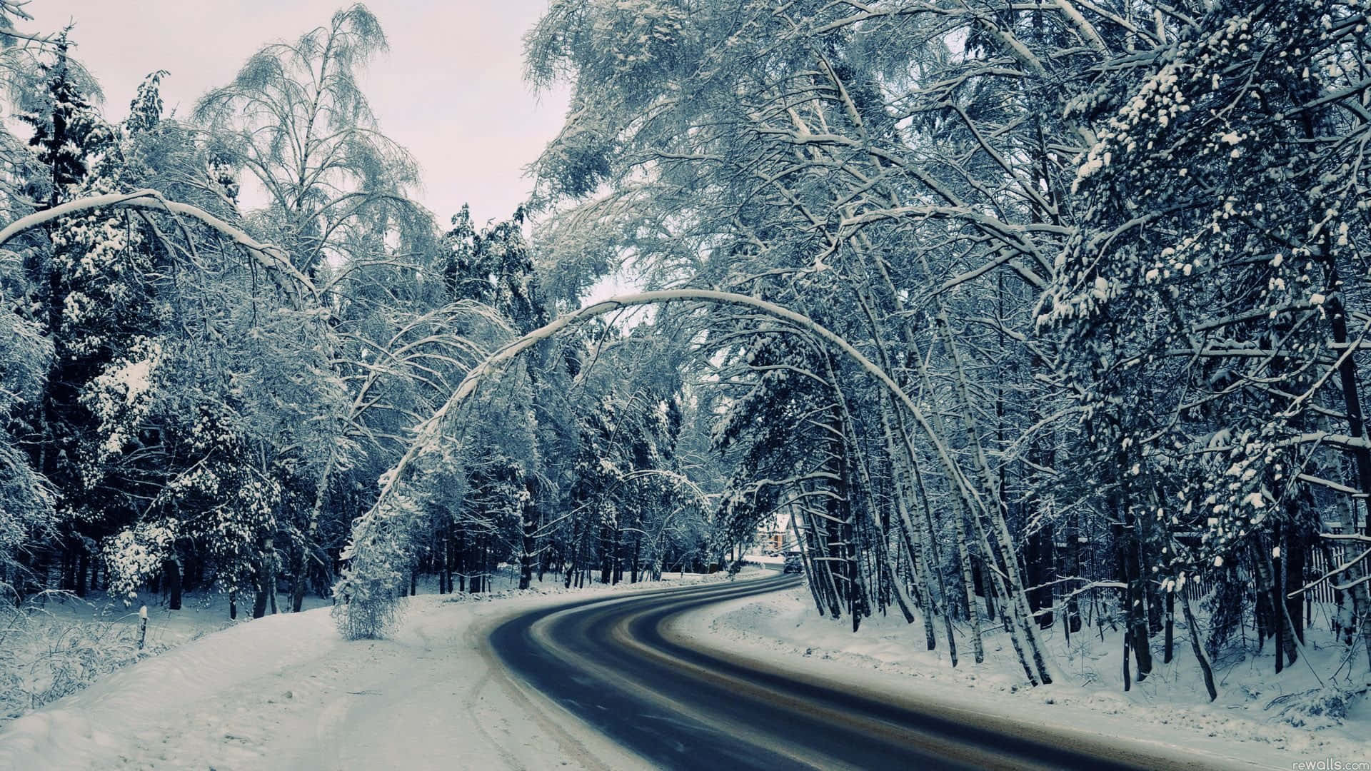 Icy Road, winding road, snowy forest, Full HD Desktop Wallpaper