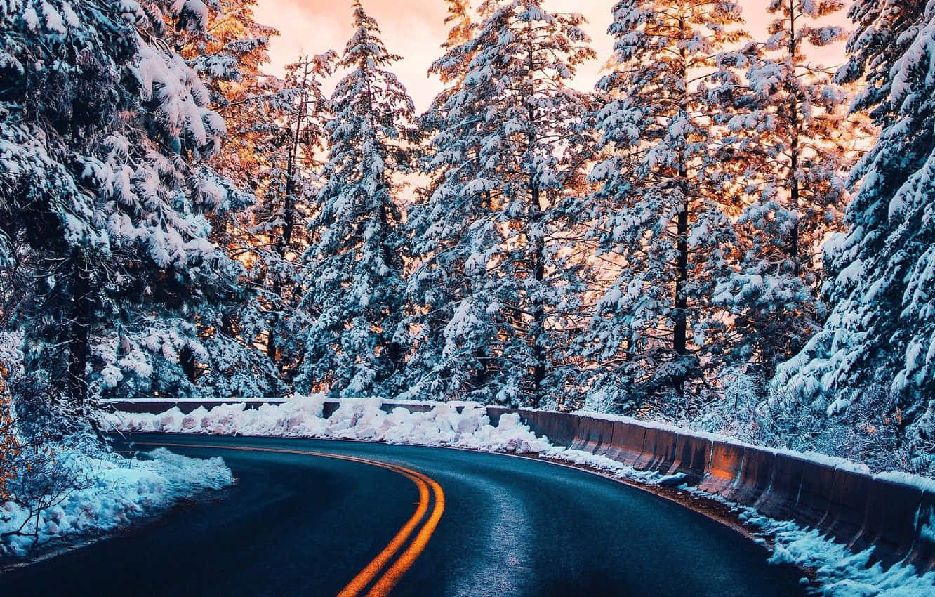 Icy Road, snowy pine forest, warm sunset light, HD Desktop Wallpaper