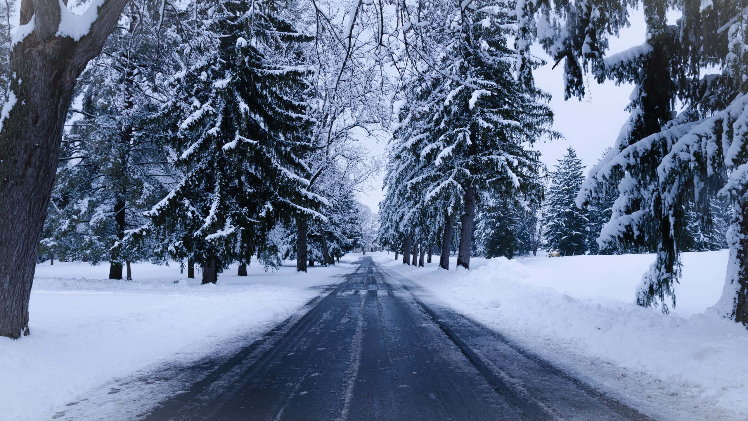 icy road, snow-covered road, winter forest, 2K Desktop Wallpaper