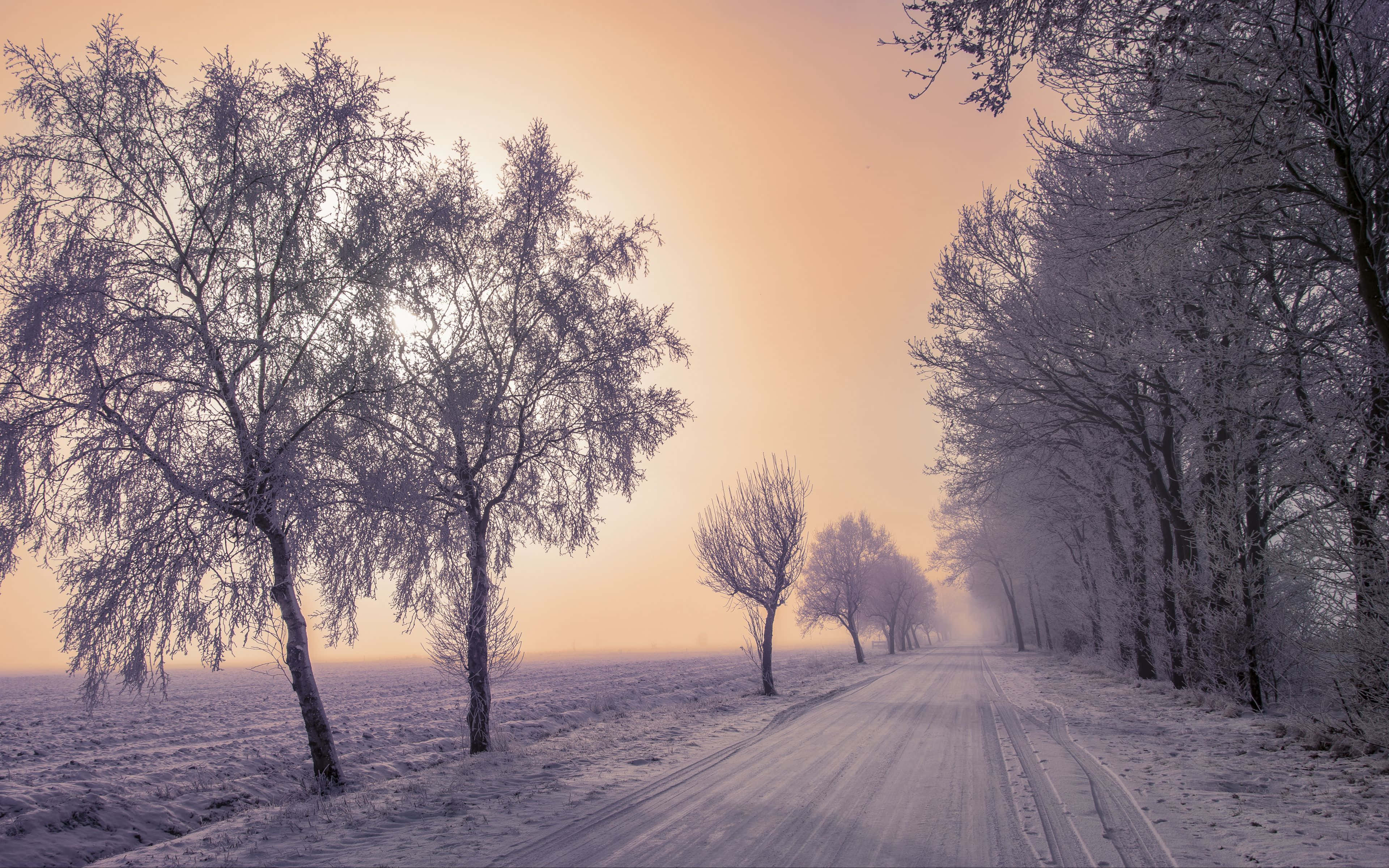 Icy Road, frost-covered road, snow-dusted trees, 4K Desktop Wallpaper