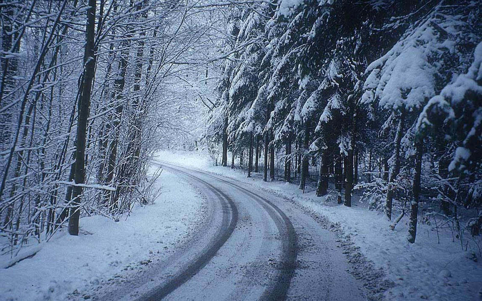 Icy Road, snowy road, dense forest, HD Desktop Wallpaper
