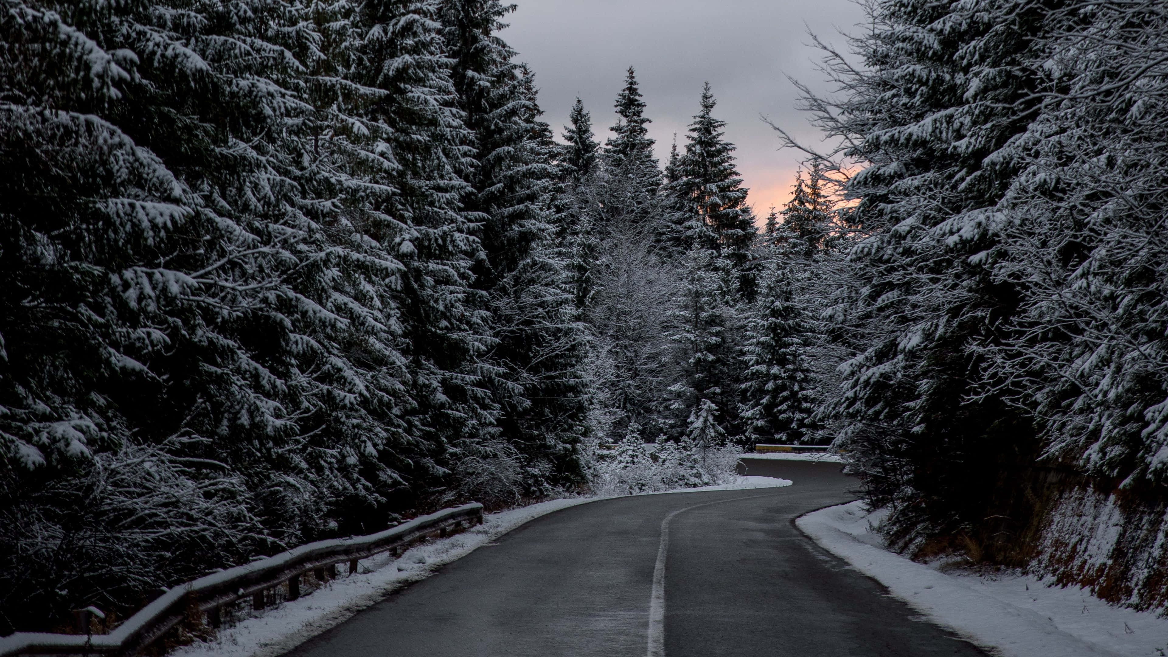 Icy Road, winding road, dense snowy forest, 4K Desktop Wallpaper