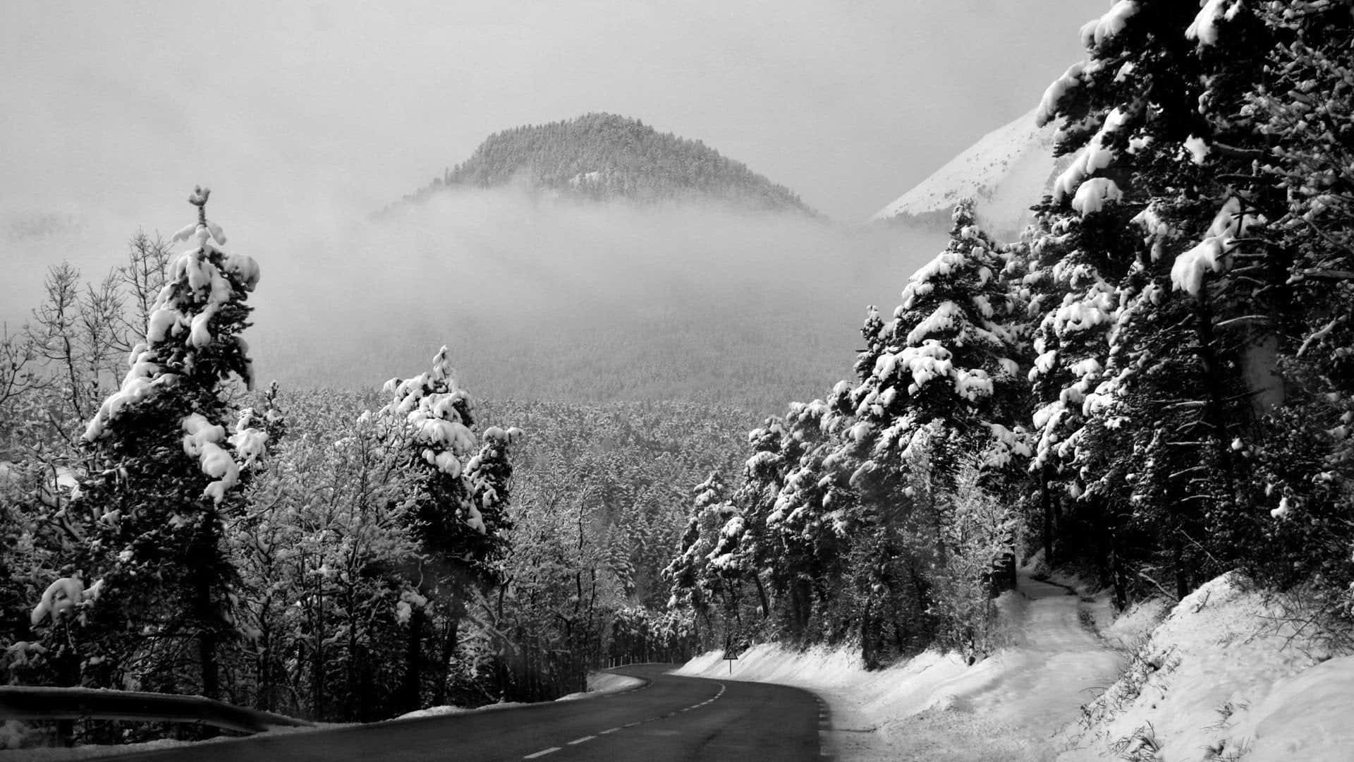 Icy Road, winding road, snow-laden evergreens, Full HD Desktop Wallpaper