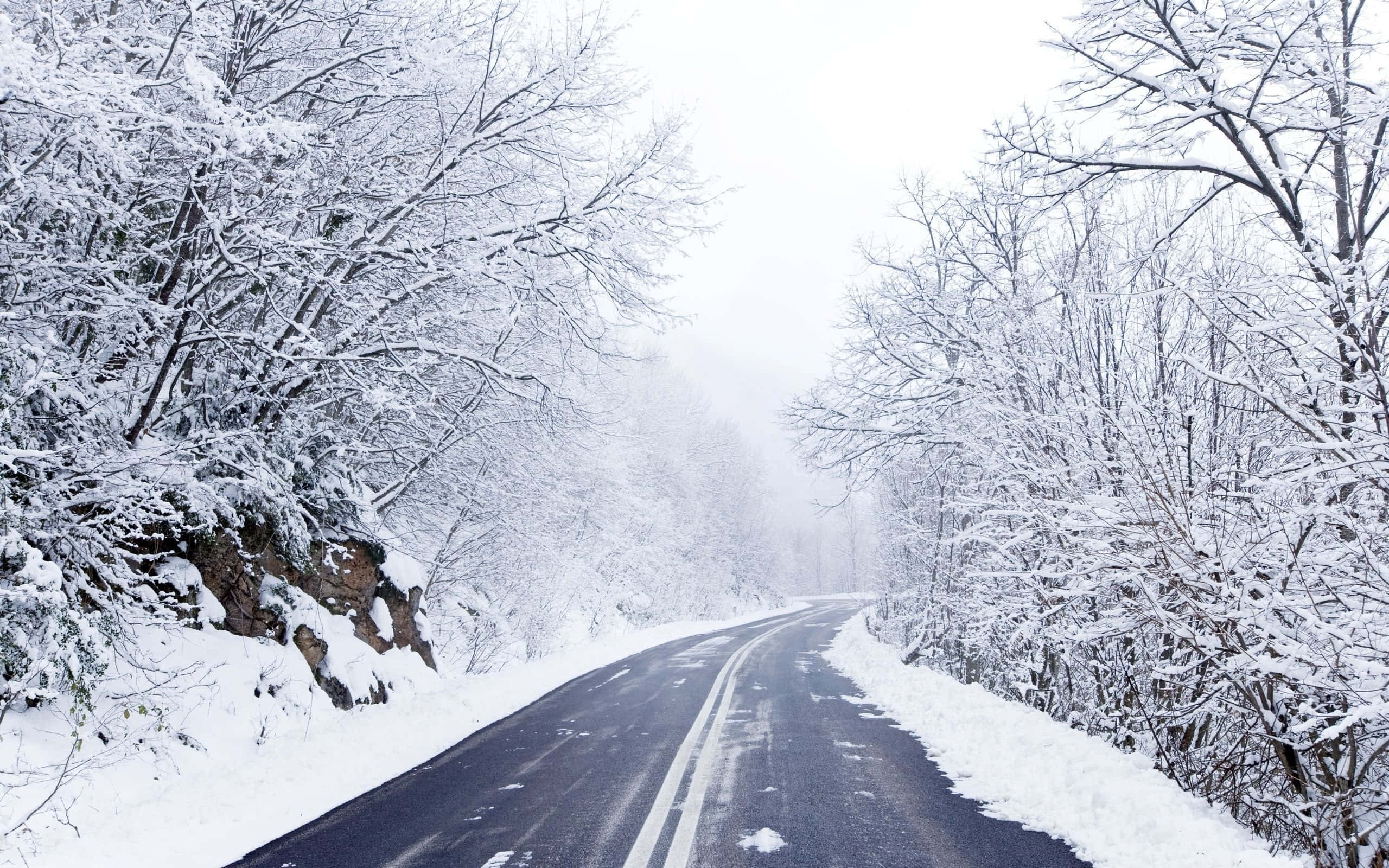 Icy Road, winding road, snowy forest, 2K Desktop Wallpaper