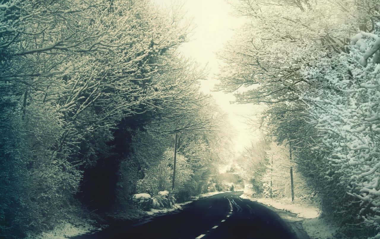 icy road, winding road, snowy forest, HD Desktop Wallpaper