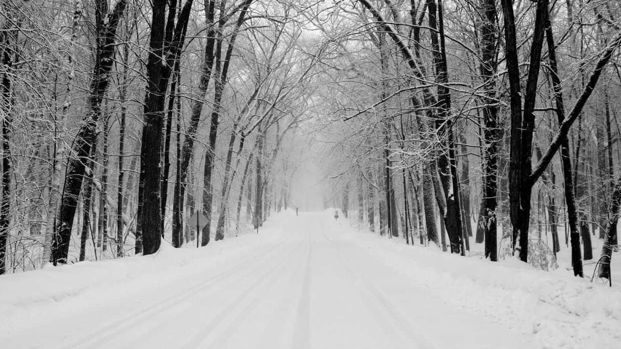 Icy Road, snow-covered road, dense winter forest, SD Desktop Wallpaper