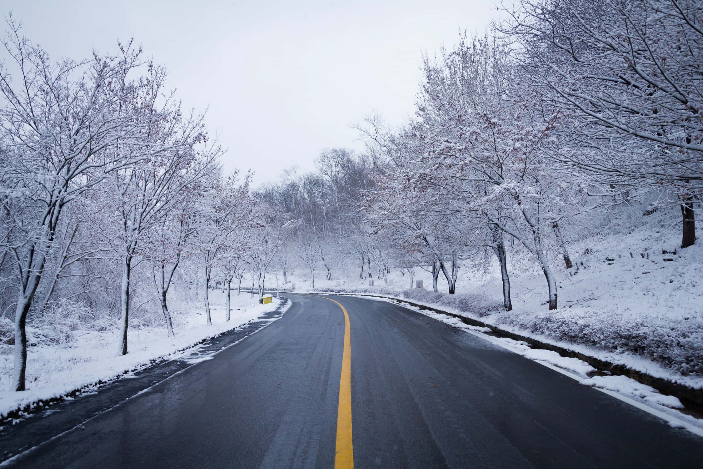 Icy Road, winding road, snowy forest, Full HD Desktop Wallpaper