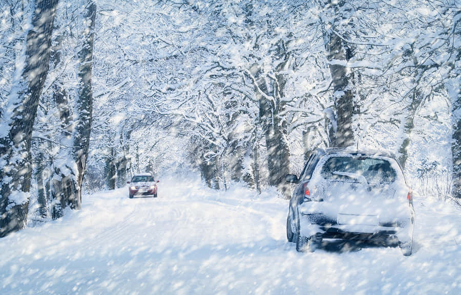 winter driving, snow-covered forest road, heavy snow, SD Desktop Wallpaper