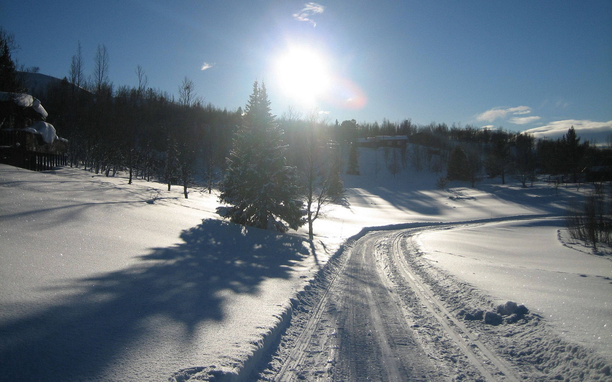 snow-covered road, winter forest, sun flares, 2K Desktop Wallpaper
