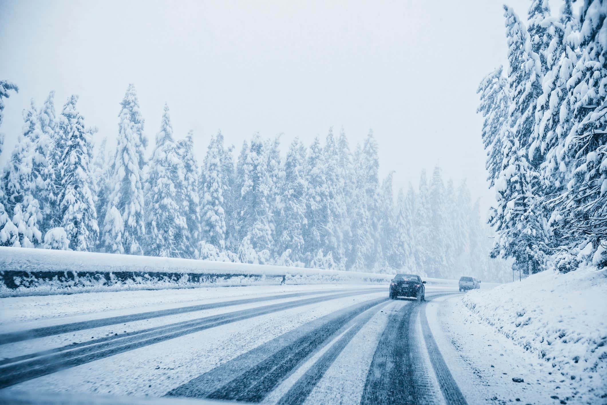 snow-covered road, dense forest, gray winter sky, Full HD Desktop Wallpaper
