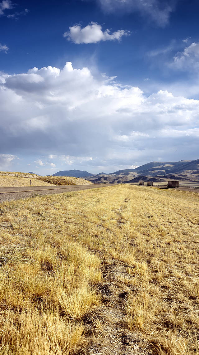 cheatgrass, Idaho, winding road, SD Phone Wallpaper