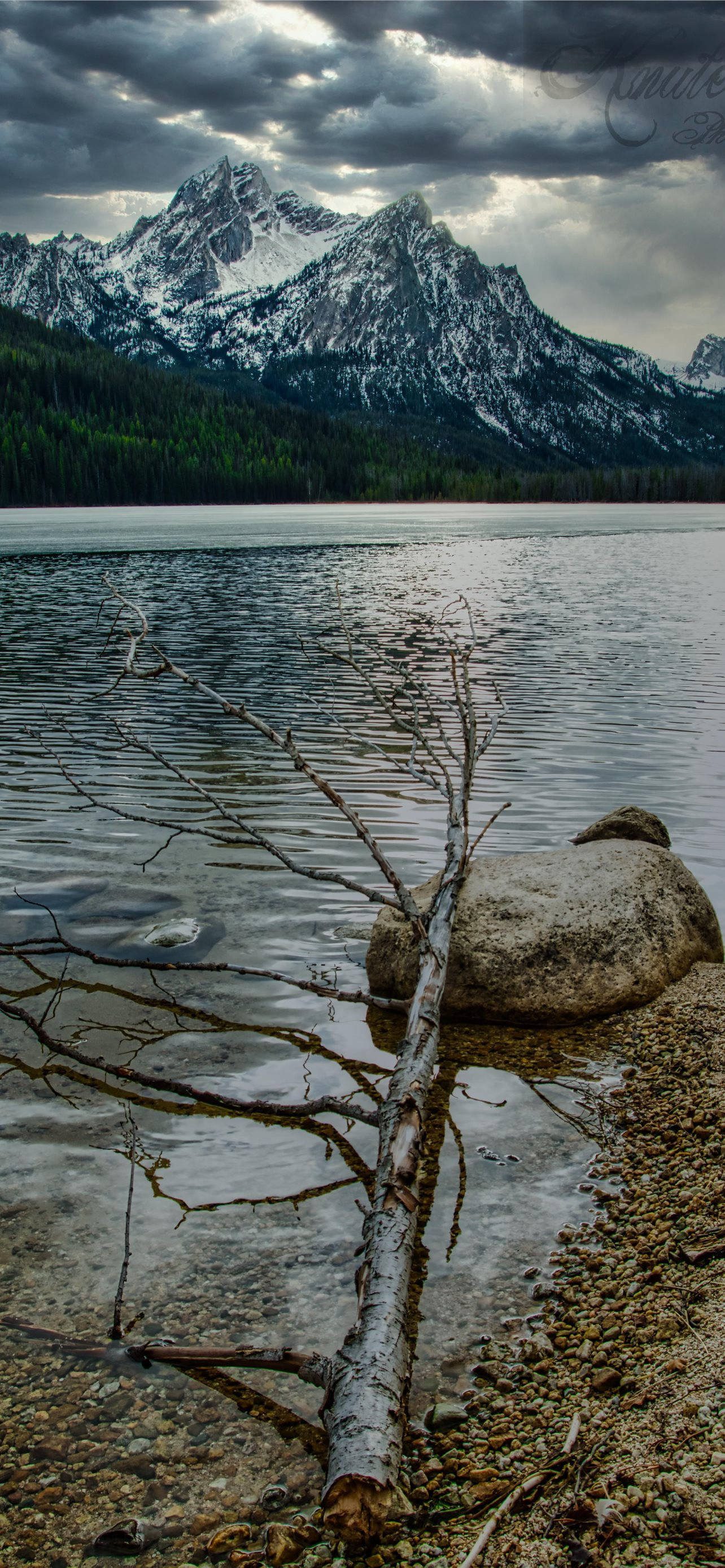 Idaho, lakes, dead tree, 2K Phone Wallpaper