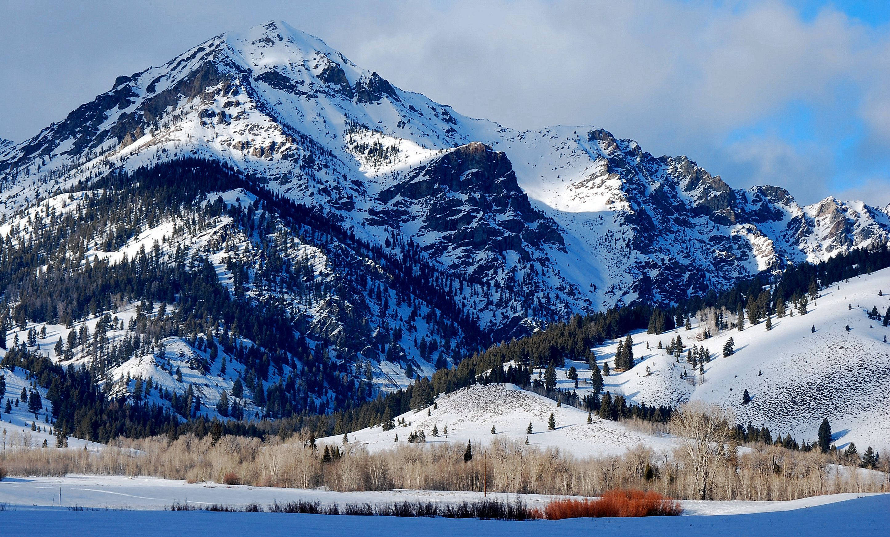 snowy mountains of idaho, snow-capped mountain peaks, forested valley, 2K Desktop Wallpaper