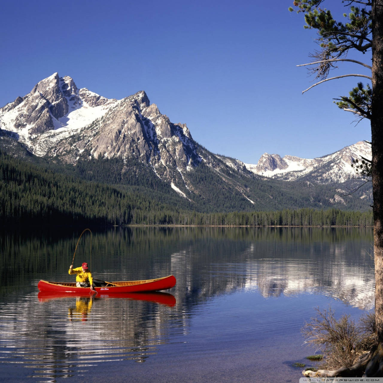 sailboat, Idaho, lake, HD Desktop Wallpaper