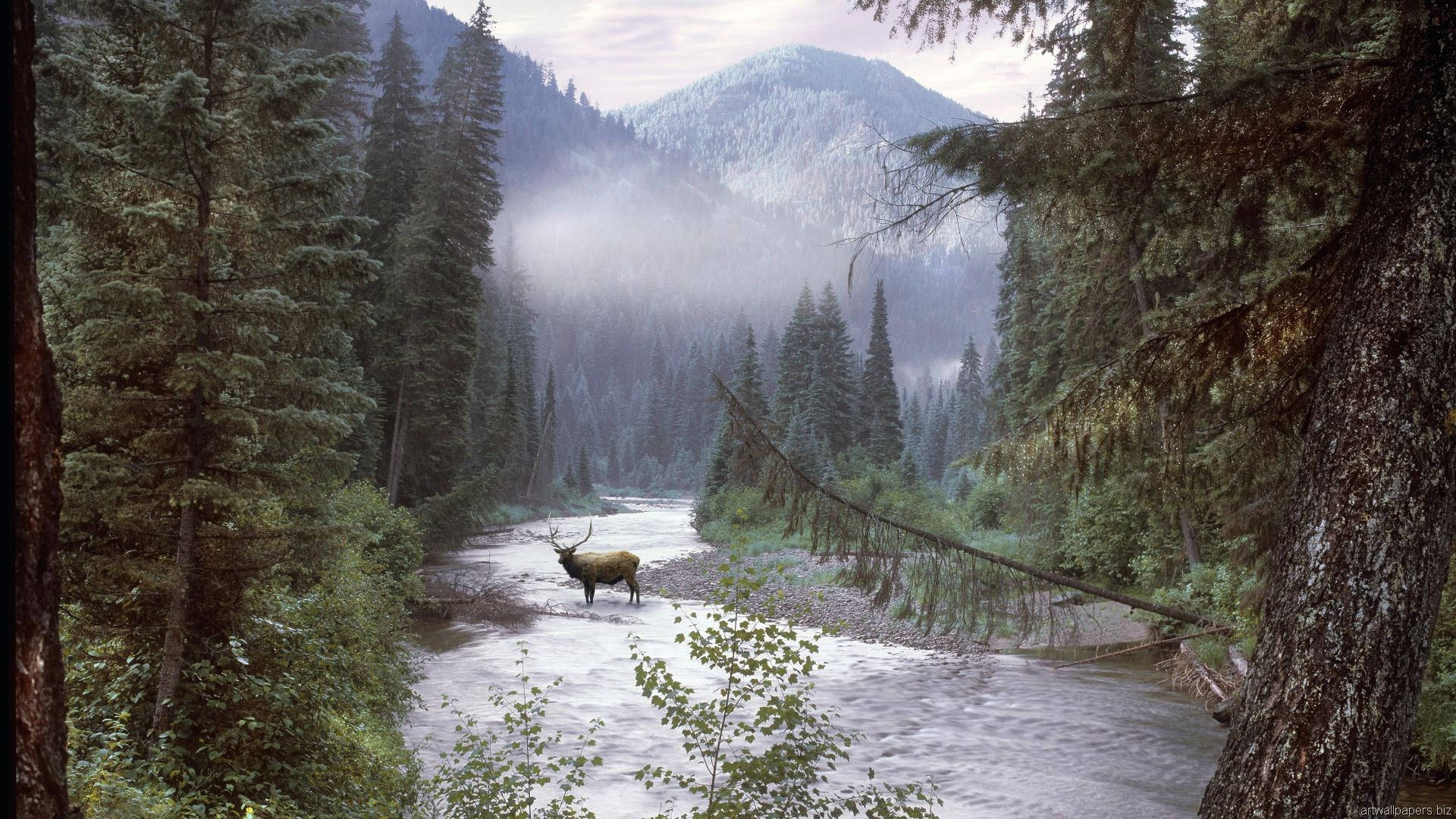 Idaho, winter forest, misty river, Full HD Desktop Wallpaper