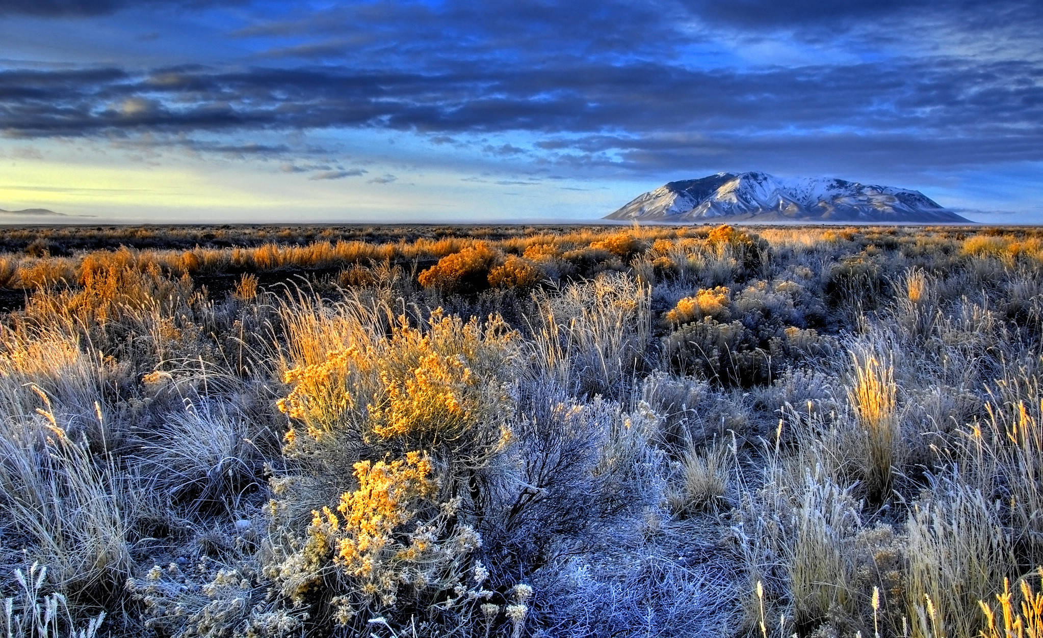 Idaho, frosty golden shrubs, vast desert plain, Full HD Desktop Wallpaper