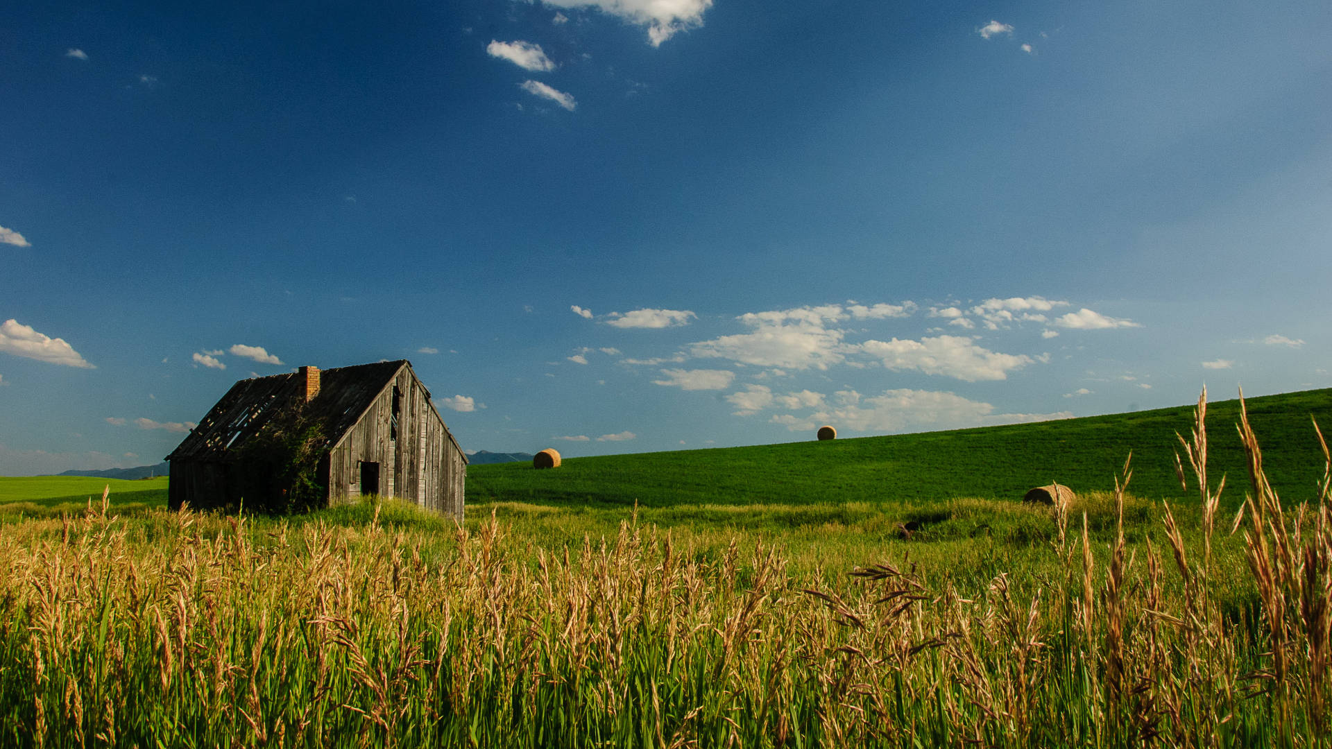 green meadows, Idaho, weathered wooden barn, Full HD Desktop Wallpaper