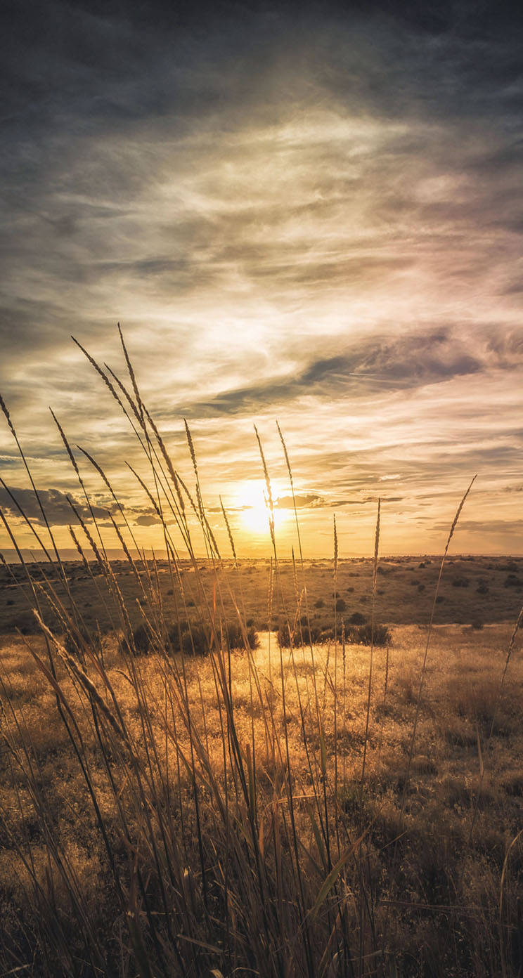 Idaho, golden sunset, wispy clouds, HD Phone Wallpaper