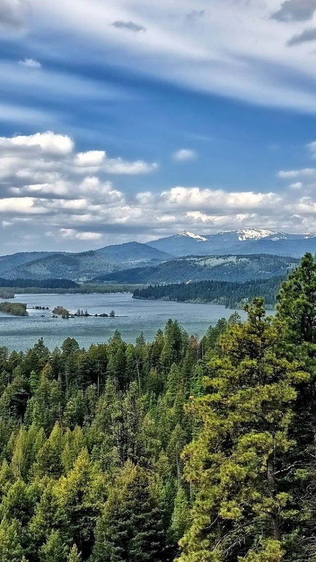 Idaho, blue lake, dense green forests, SD Phone Wallpaper