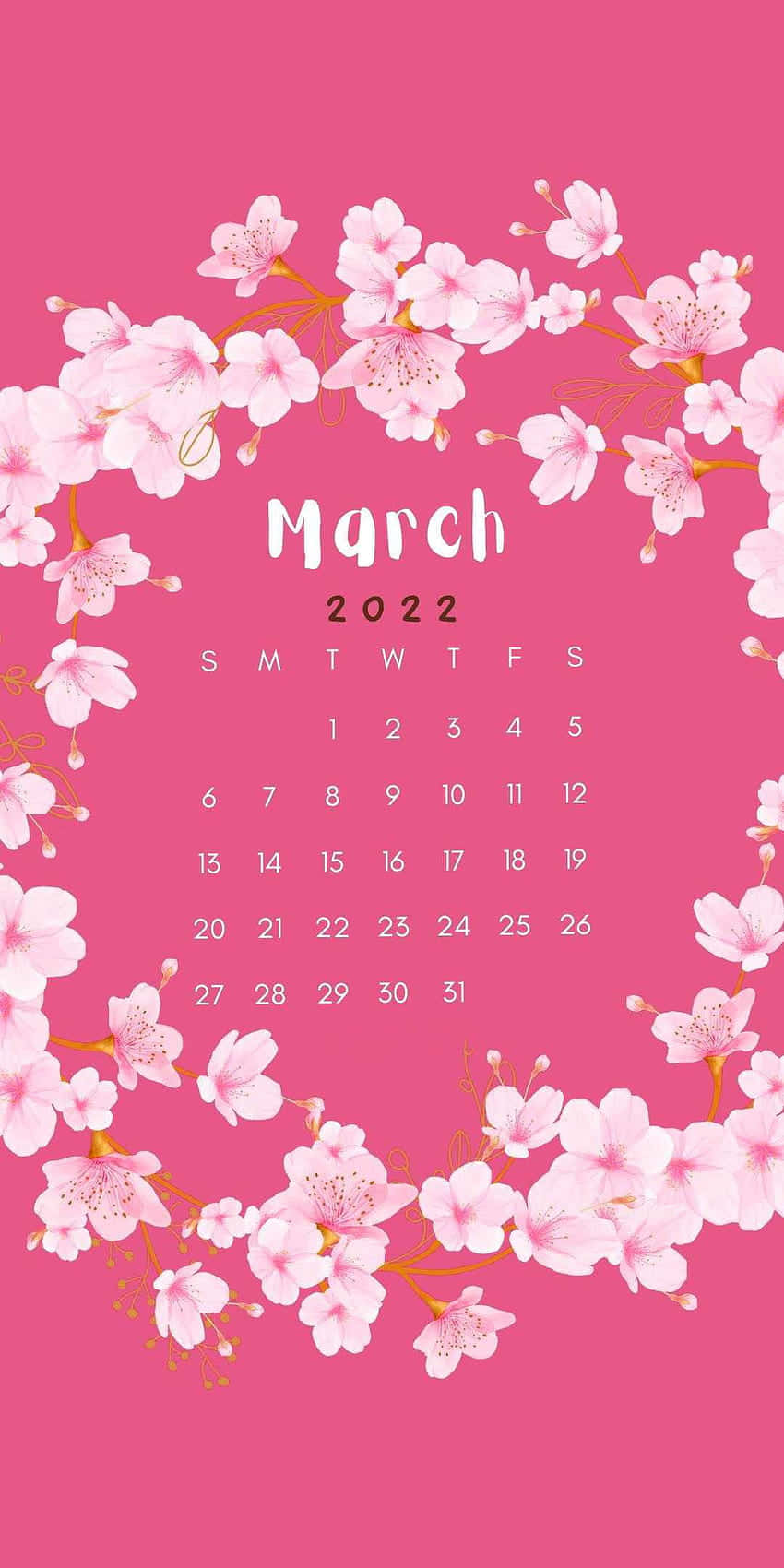 Pink Cute March, March 2022, cherry blossoms, HD Phone Wallpaper