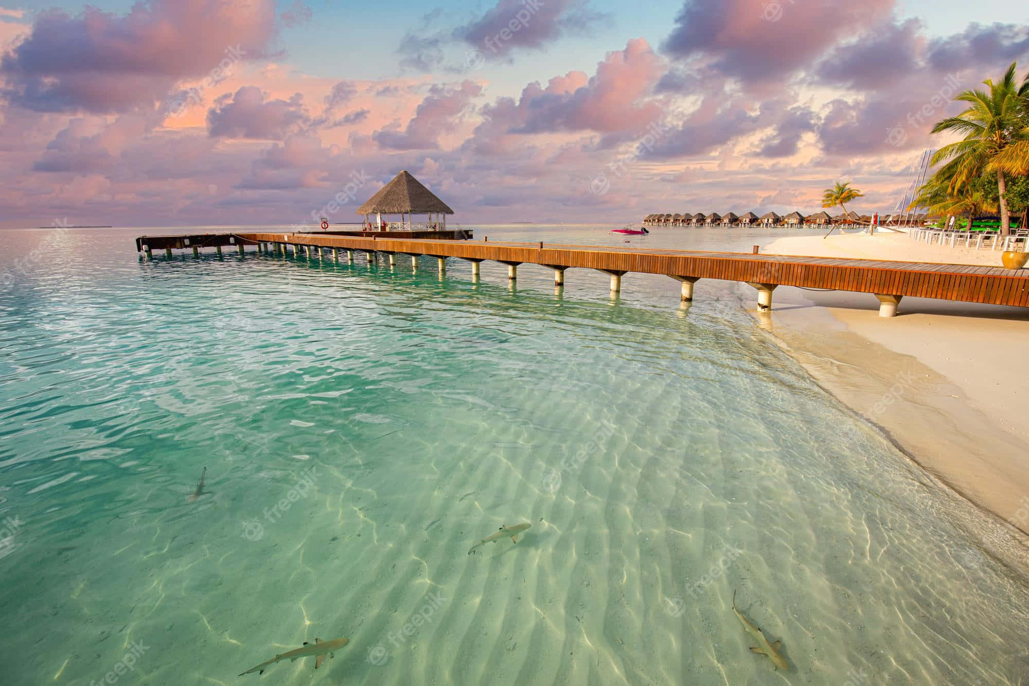Idyllic, wooden walkway, turquoise waters, Full HD Desktop Wallpaper