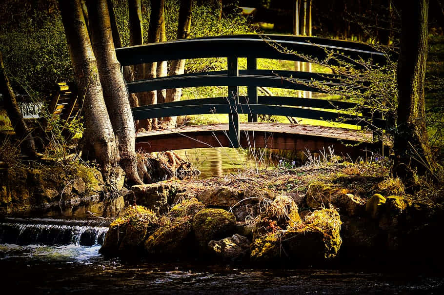 Idyllic Wooden Bridge, wooden arched bridge, mossy stream, SD Desktop Wallpaper